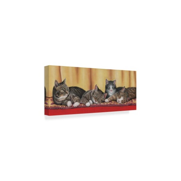 Janet Pidoux 'Relaxing Tabbies' Canvas Art,10x24